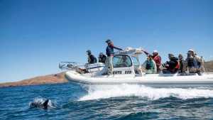Desde su pueblo costero, al sur de la Patagonia, guía a los turistas por el mar azul de Camarones