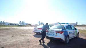 Se robaron más de 30 chanchos de la granja porcina en Catriel