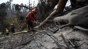Tras extinguir los incendios en Chile con 131 muertos, aún no determinaron las responsabilidades