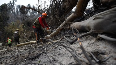 Incendios en Chile | Los bomberos lograron extinguir el fuego en Viña del Mar y Valparaíso. Foto Télam. 