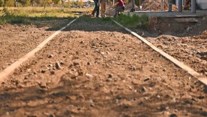 Encontraron un hombre muerto en las vías del ferrocarril de Cipolletti: cuál es la principal hipótesis