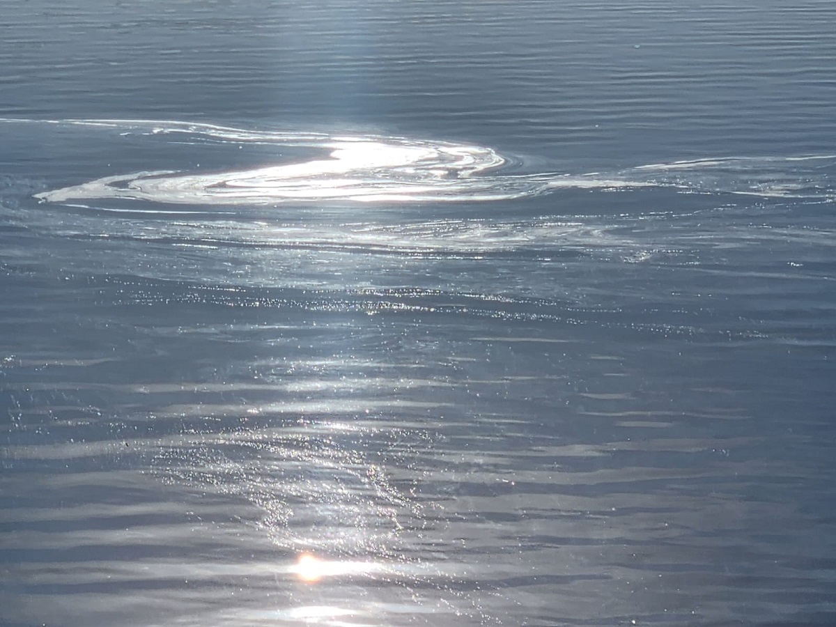 A la altura del kilómetro 13 se detectó una mancha en el lago Nahuel Huapi con líquidos cloacales. Gentileza 