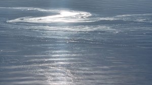 Alerta en Bariloche por la contaminación con líquidos cloacales en el lago Nahuel Huapi