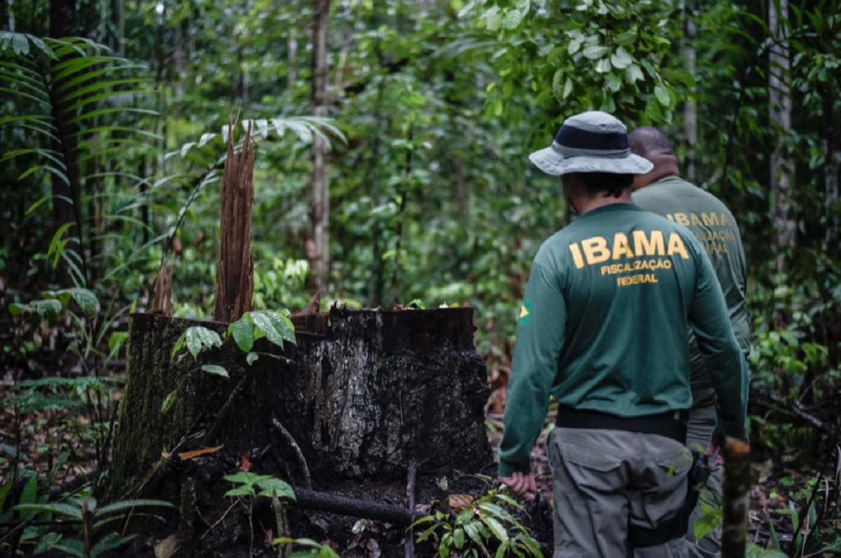 Agentes medioambientales brasileños identifican zonas deforestadas en el territorio indígena Pirititi, en el estado de Roraima, en 2018. La deforestación ilegal es una de las mayores amenazas para la Amazonía (Imagne: Felipe Werneck / Ibama, CC BY-SA)