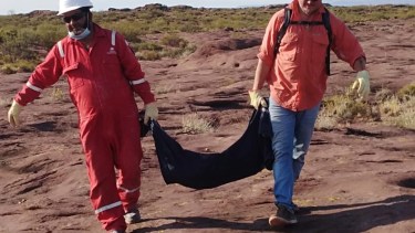 Descubrieron una singular característica en la cola de un dinosaurio de Añelo