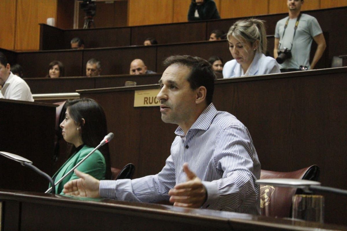 Diputados de Neuquén enviaron un proyecto a la Legislatura, en apoyo a  Chubut, tras el cruce del gobernador con Javier Milei.  