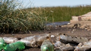 El Parlamento Europeo establece penas para los delitos considerados ecocidios