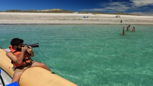 Puerto San Antonio Este: habrá un mirador con baño en Punta Villarino, la playa que custodian los lobos marinos
