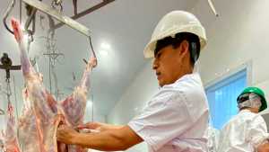 Por primera vez enviarán carne ovina de la Región Sur al mundo árabe