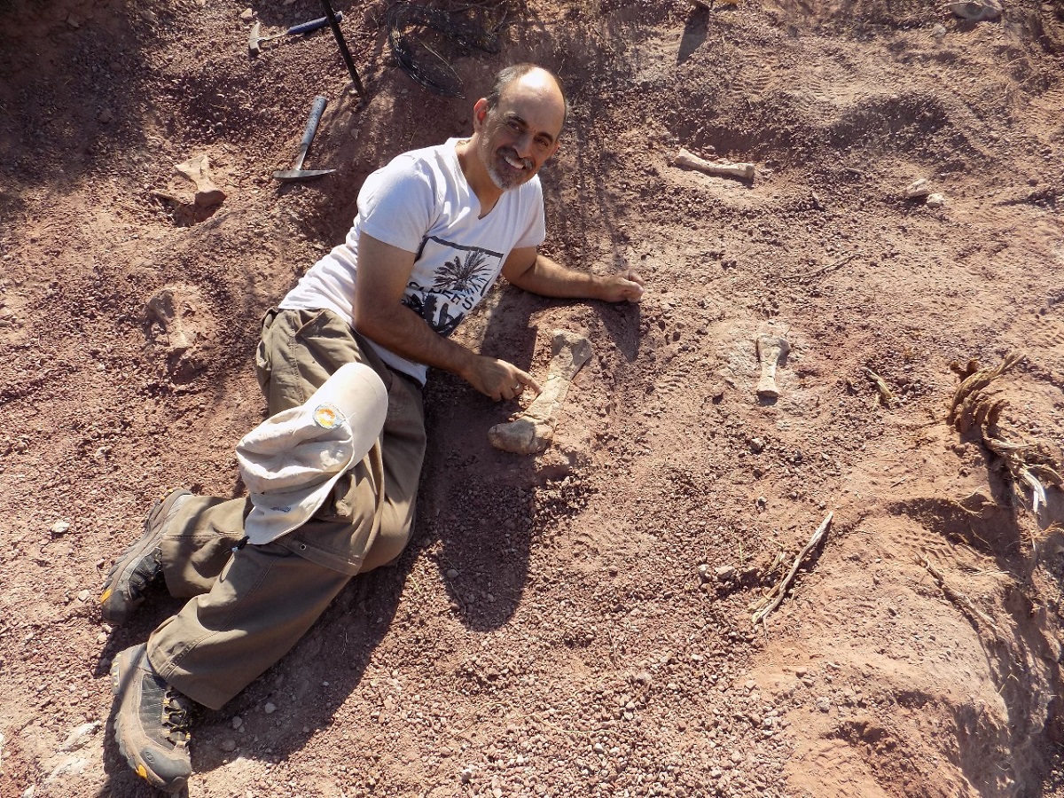 El paleontólogo Leonardo S. Filippi posa junto a los huesos. 