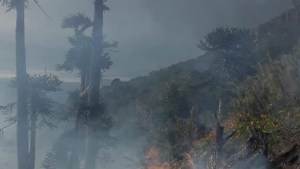 Incendios causados por la caída de rayos en el parque Lanín: extinguieron dos focos y siguen los trabajos