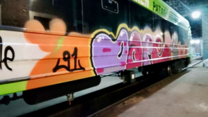 Denuncian que vandalizaron el Tren Patagónico, en Bariloche