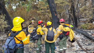 Incendio en el parque Nahuel Huapi: afirman que la lluvia no llegó al sector del fuego y sigue en las mismas condiciones