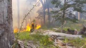 Incendio en el parque Nahuel Huapi: la fiscalía de Bariloche busca testigos para esclarecer el origen del fuego