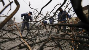 Incendios en Chile: ya son 131 los muertos y Boric anunció medidas para los afectados