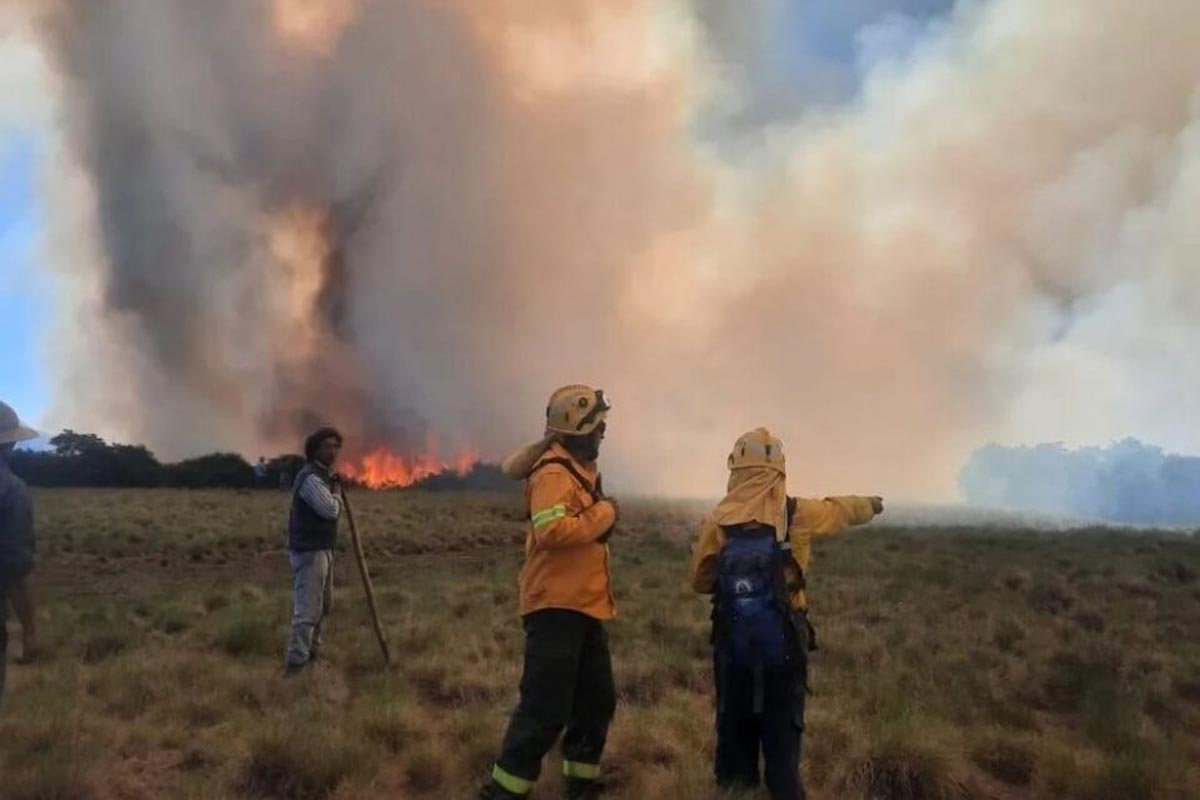 Dos focos de incendio activos en el parque Nacional Lanín. Foto: gentileza Parque Nacional Lanín