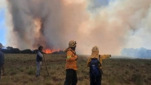 Incendio en parque nacional Lanín: con dos focos activos sigue la lucha contra el fuego