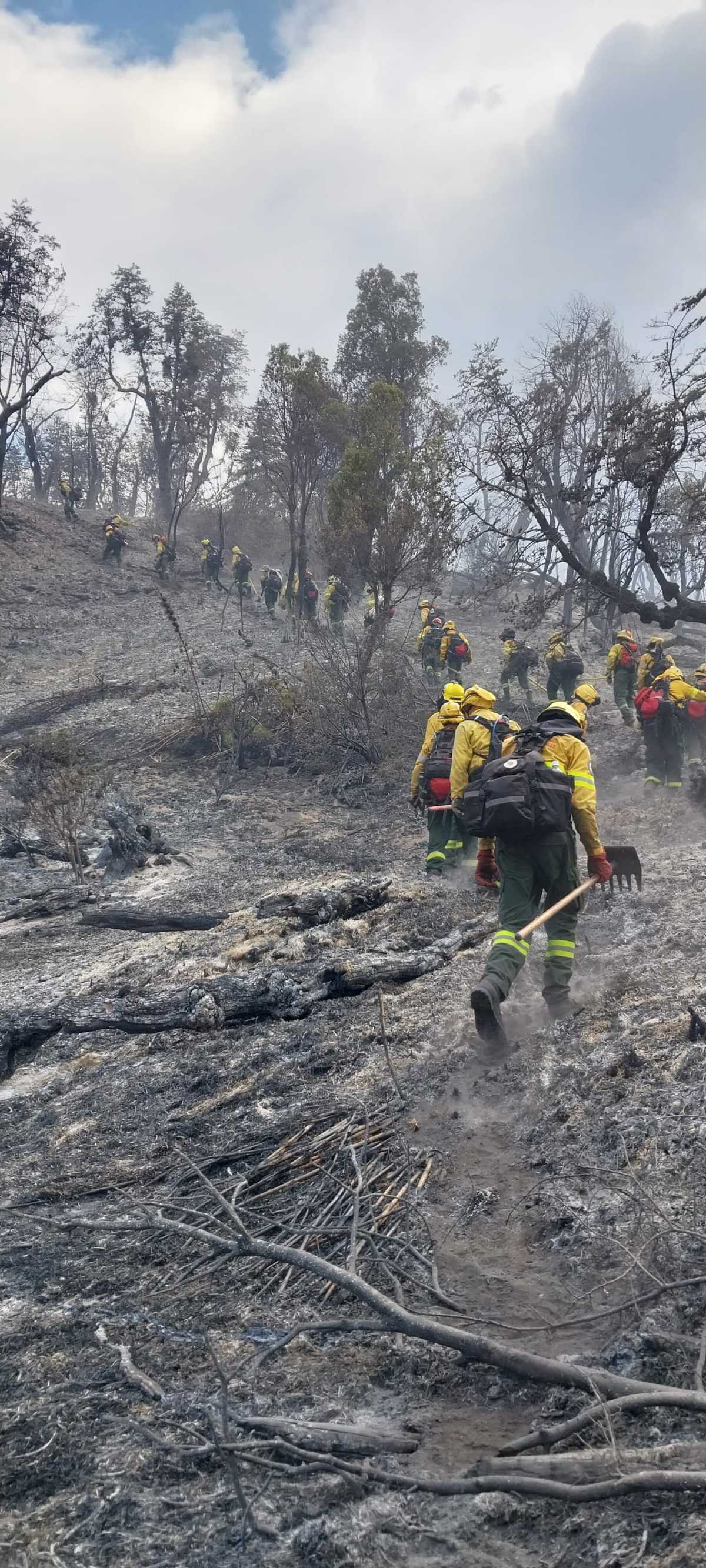 Tras once días, el incendio en Parque Nacional Los Alerces "continúa activo en todo su perímetro". Foto: Parque Nacional Los Alerces. 