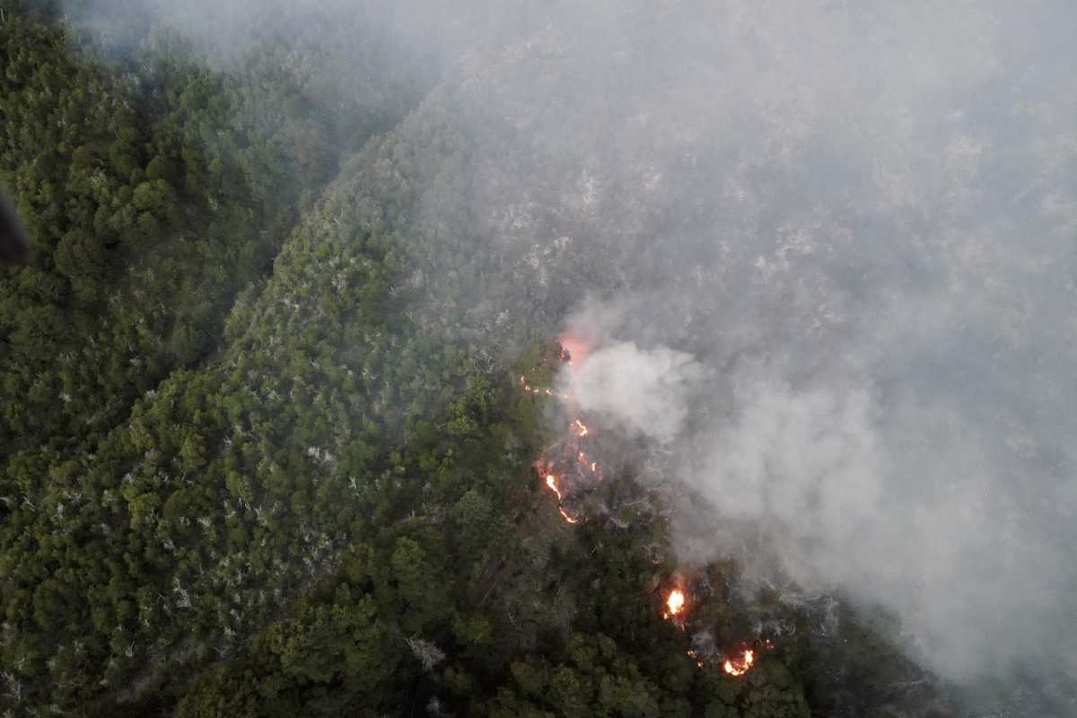 Los incendios forestales afectan cada verano cientos de hectáreas de bosques en la región.