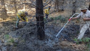 Bomberos de Villa Pehuenia lograron controlar un incendio forestal en una estancia