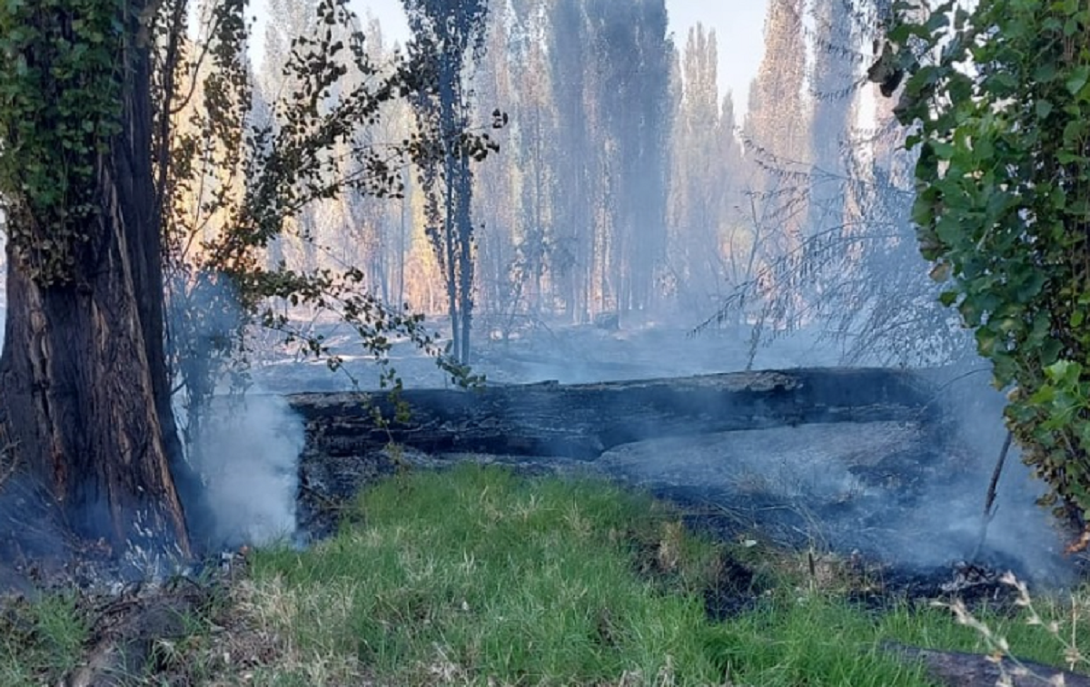 El incendio se desató en una zona rural de Centenario. Foto: Centenariodigital