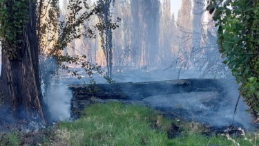 El incendio se desató en una zona rural de Centenario. Foto: Centenariodigital