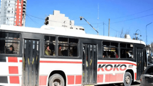 Sin colectivos de Koko: «Queremos recuperar el servicio en Chichinales, Valle Azul y Regina», indicó Provincia