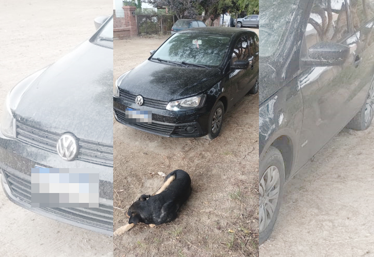 El vehículo fue secuestrado por el personal de la Comisaría 29 de Las Grutas. foto: gentileza.
