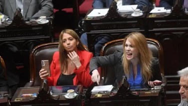 La diputada hizo la denuncia en la Justicia. Foto Télam