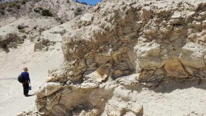 Una playa con ostras fosilizadas para meterse en la máquina del tiempo, a pasitos de Las Grutas