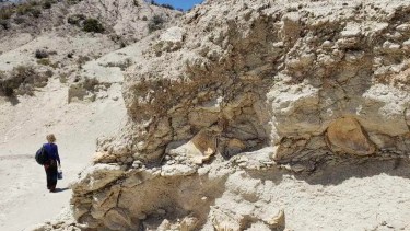 Una playa con ostras fosilizadas para meterse en la máquina del tiempo, a pasitos de Las Grutas