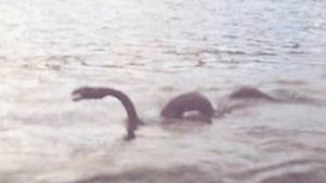 Nahuelito, la leyenda que siempre vuelve