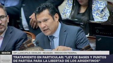 Ley Ómnibus : Llancafilo pidió que se asegure "la continuidad de la Zona Fría en la patagonia"