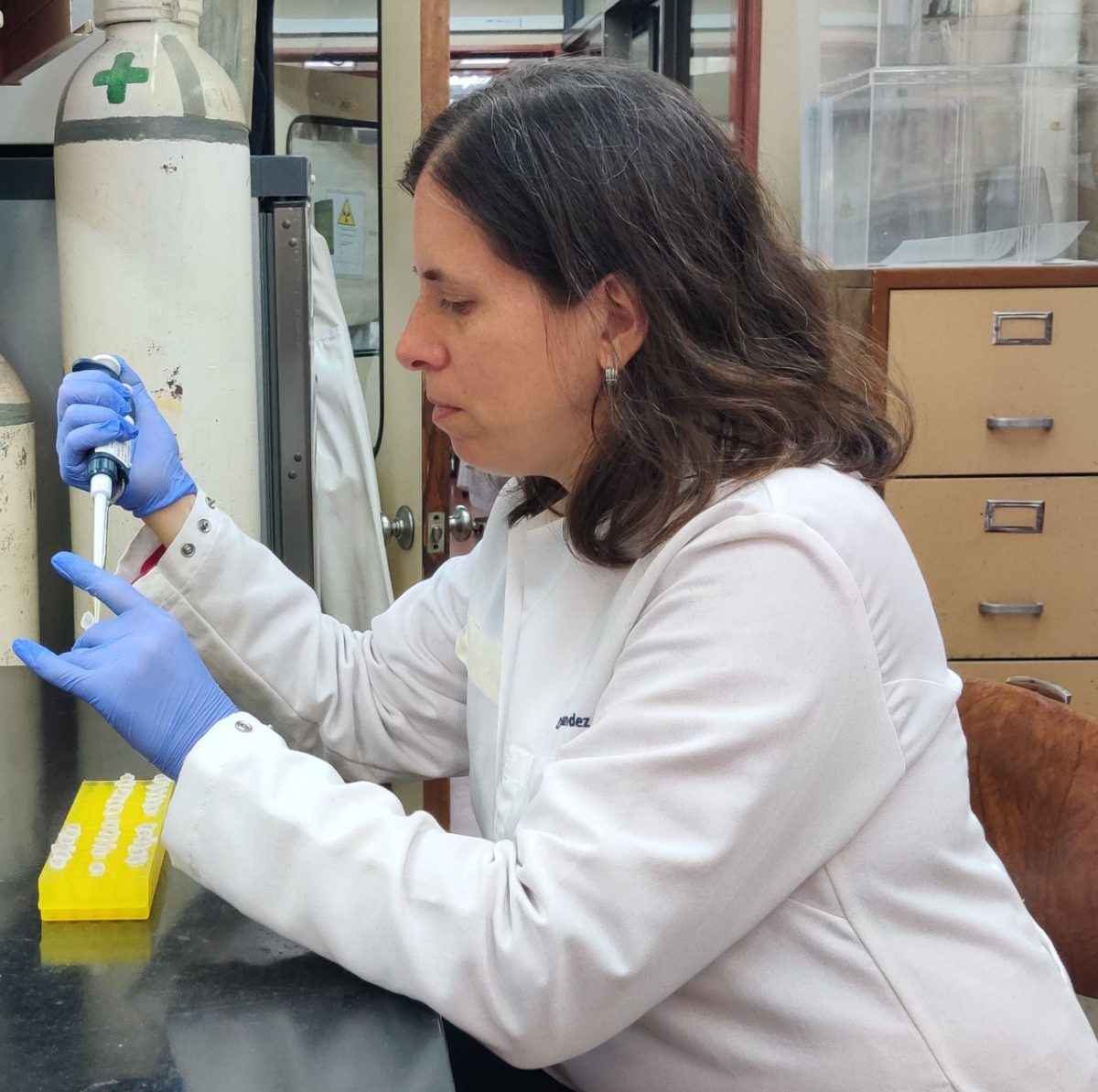 La científica argentina que estudia los perturbadores endócrinos que provienen de quimicos presentes en los plásticos. Foto: gentileza