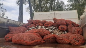 Entierran más de 2 toneladas de mariscos que iban de Río Negro a Buenos Aires de forma ilegal