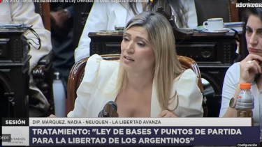 Nadia Márquez sobre Ley Ómnibus: "Quiero agradecerle a los espacios opositores" 