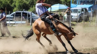 Este finde, todos a Moquehue: gastronomía criolla en fiesta gauchesca y solidaria