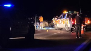Buscan testigos del accidente donde encontraron a un hombre muerto a la vera de la Ruta 22, en Cutral Co
