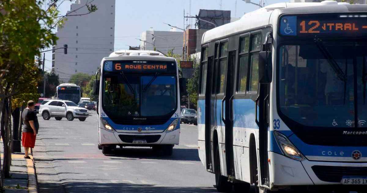 Neuquén received less than half of the subsidy to maintain the bus ticket