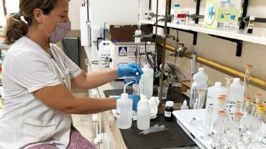 Especialistas del CONICET trabajan en el desarrollo de un innovador filtro solar que tenga propiedades repelentes y antiinflamatorias. Foto: gentileza investigadoras.