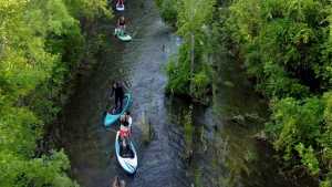 Descubrir los secretos del río Limay desde una tabla de SUP en Neuquén