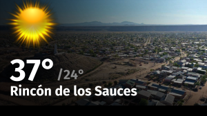 Clima en Rincón de los Sauces: cuál es el pronóstico del tiempo para hoy lunes 19 de febrero