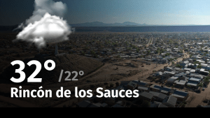 Clima en Rincón de los Sauces: cuál es el pronóstico del tiempo para hoy jueves 29 de febrero