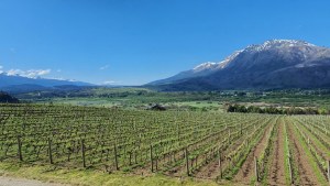 Semana Santa en la Comarca Andina: primer Festival de la Vendimia en El Hoyo
