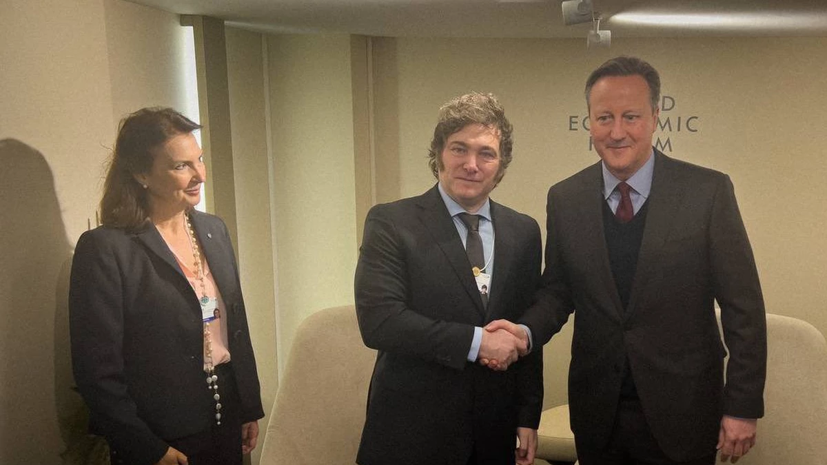 Si bien en la previa al discurso de Milei en Davos, se juntó con David Cameron, la visita del británico a Malvinas reavivó el conflicto por la soberanía. Foto Archivo.