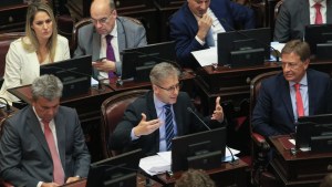«Si lo hubieran mandado por separado&#8230;»: la justificación de senadores radicales tras el rechazo al DNU