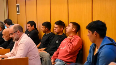 Abigeato en Roca: los declararon responsables de matar dos yeguas y de maltrato animal