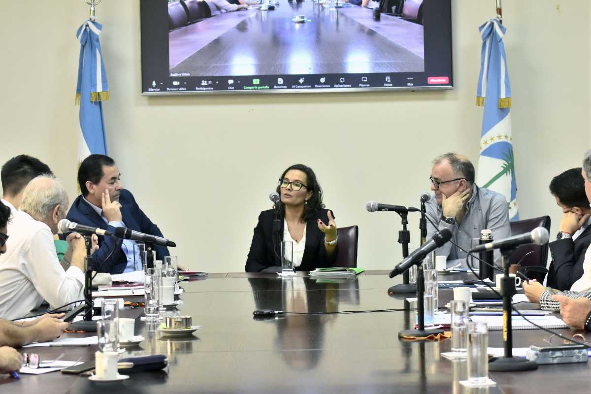 Machado recibió el apoyo del bloque oficialista de Comunidad. Justamente trabajó con el actual jefe de Gabinete, Juan Ousset. Foto Cecilia Maletti.