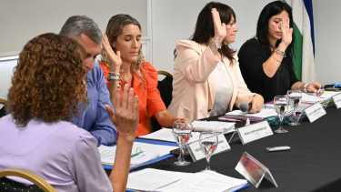 El proyecto será trabajado por el Concejo Deliberante (Florencia Salto).