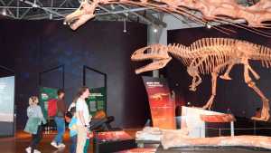Dinosaurios de la Patagonia en los museos del mundo: gigantes como la ciencia nacional